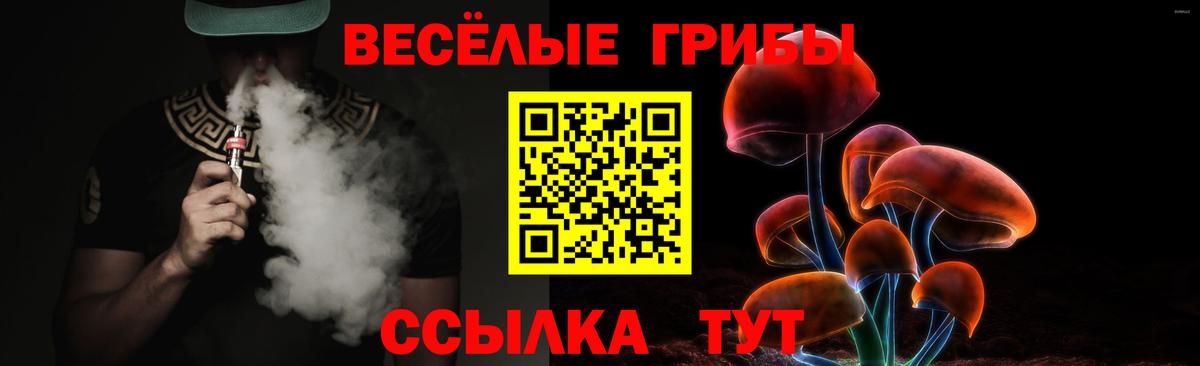 Псилоцибиновые грибы GOLDEN TEACHER  купить наркотик  Псилоцибиновые грибы MAGIC MUSHROOMS  Фролово  Вход с VPN 